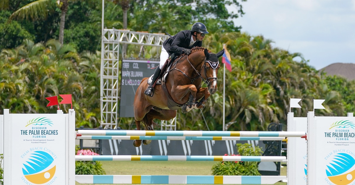 A man jumping a chestnut horse over a fence in Florida.