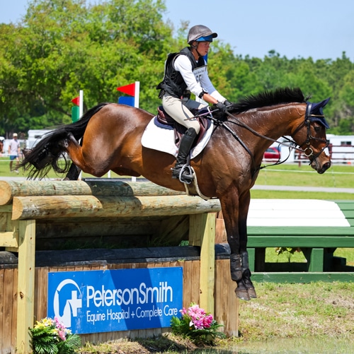 A woman jumping a bay horse over a cross-country fence.
