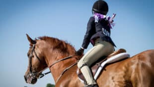 A young girl with bright hair bows riding in a show.