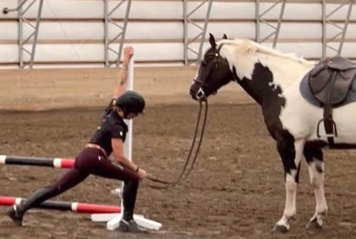 A woman doing a lunge on the ground while holding her horse.