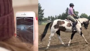 A woman looking at a video on her phone; a rider on a paint horse in a ring.