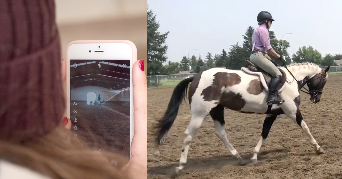 A woman looking at a video on her phone; a rider on a paint horse in a ring.