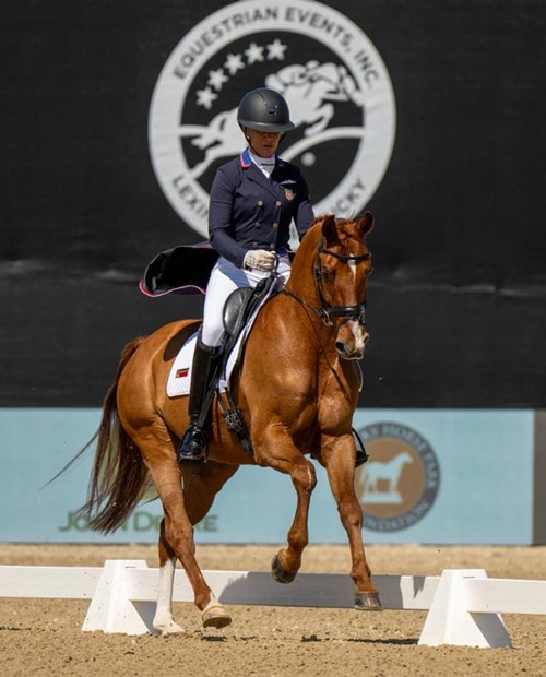 A woman riding a chestnut horse during a dressage test.