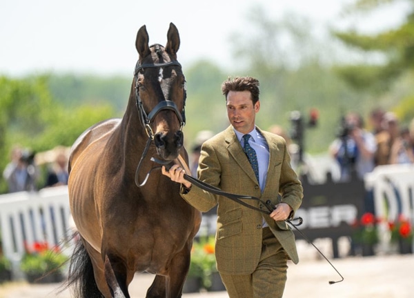 A man in a suit leading a bay horse during the jog.