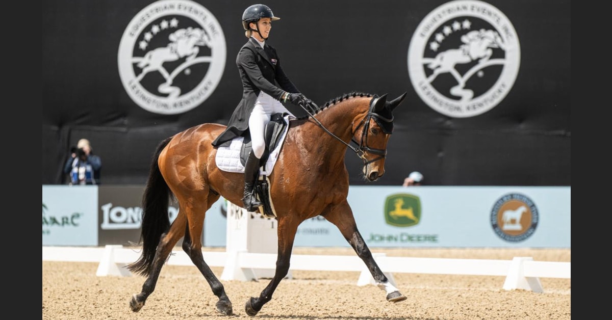 A woman performing a dressage test on a bay horse.