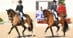 Two dressage horses performing extended trot.