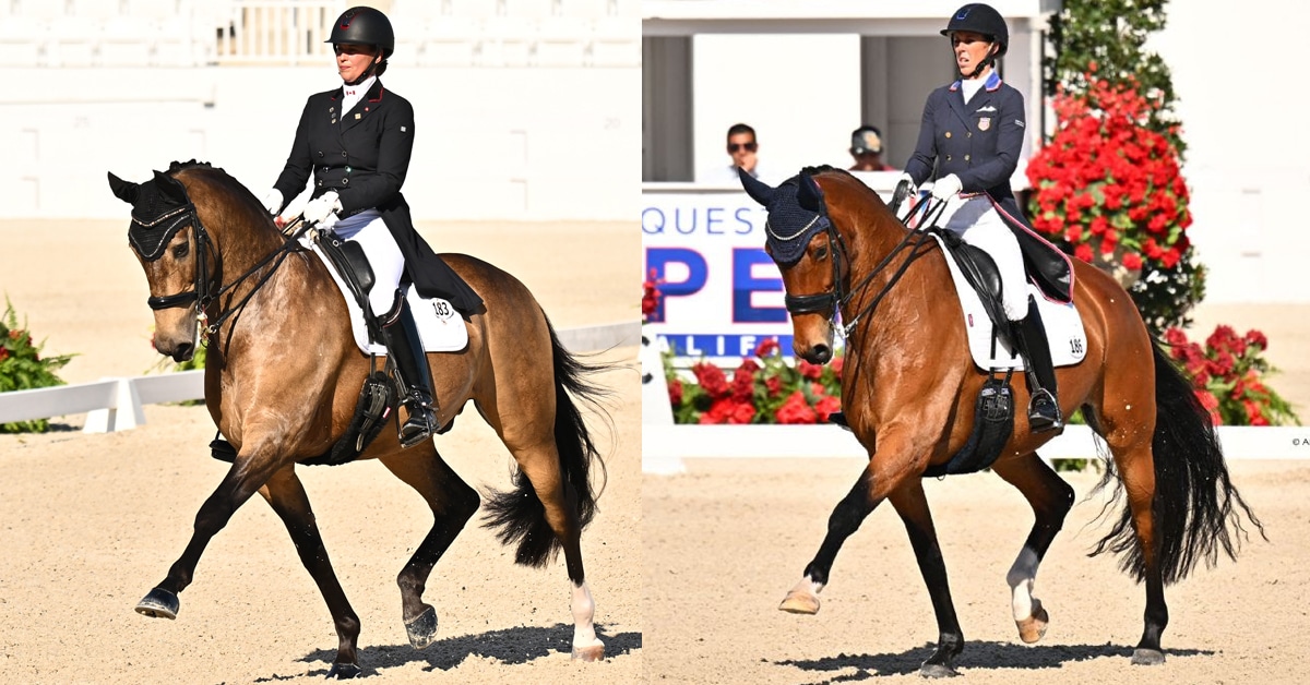 Two dressage horses performing extended trot.