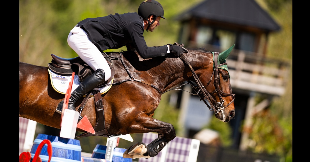A man on a bay horse jumping a fence at tbird.