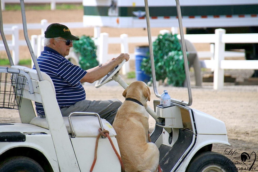 A man in a golf cart with a dog at a horse show.