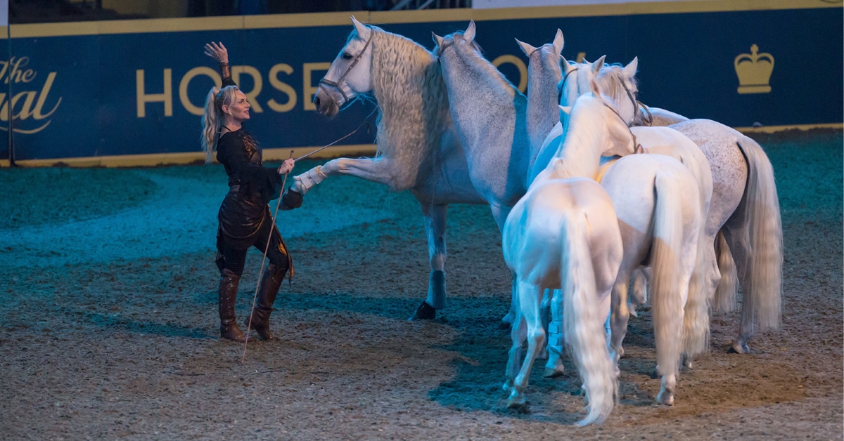 A woman in an arena with six grey liberty horses.