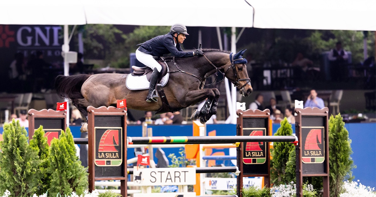 A man jumping a fence in Mexico on a dark bay horse.