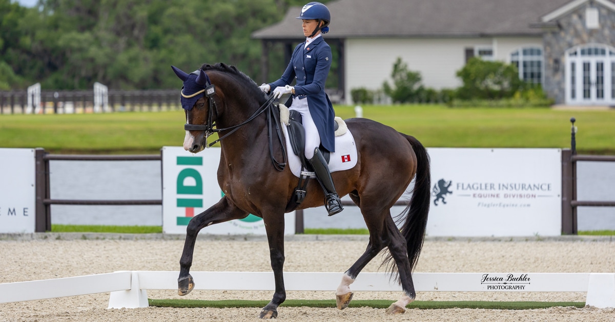 A woman riding a bay dressage horse during a test.