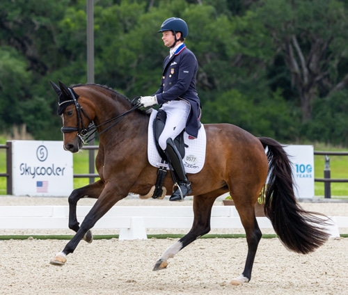 A man riding a bay horse in canter during a dressage test.