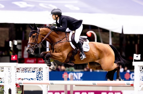 A man riding a bay horse over a fence in Mexico.