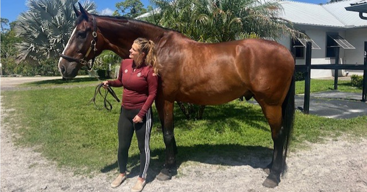 A woman in a maroon shirt holding a tall bay horse.