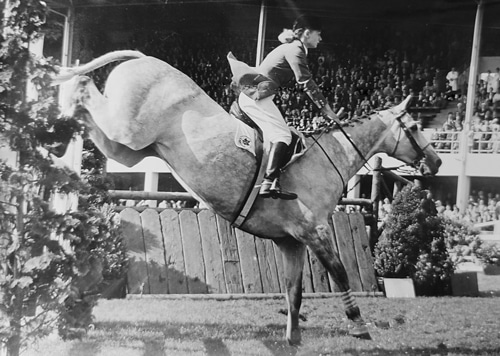 An old photo of a woman jumping a grey horse over a fence.