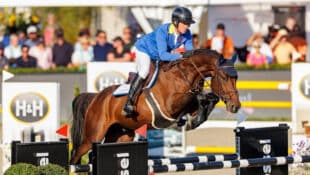 A man jumping a bay stallion over a fence at a show.