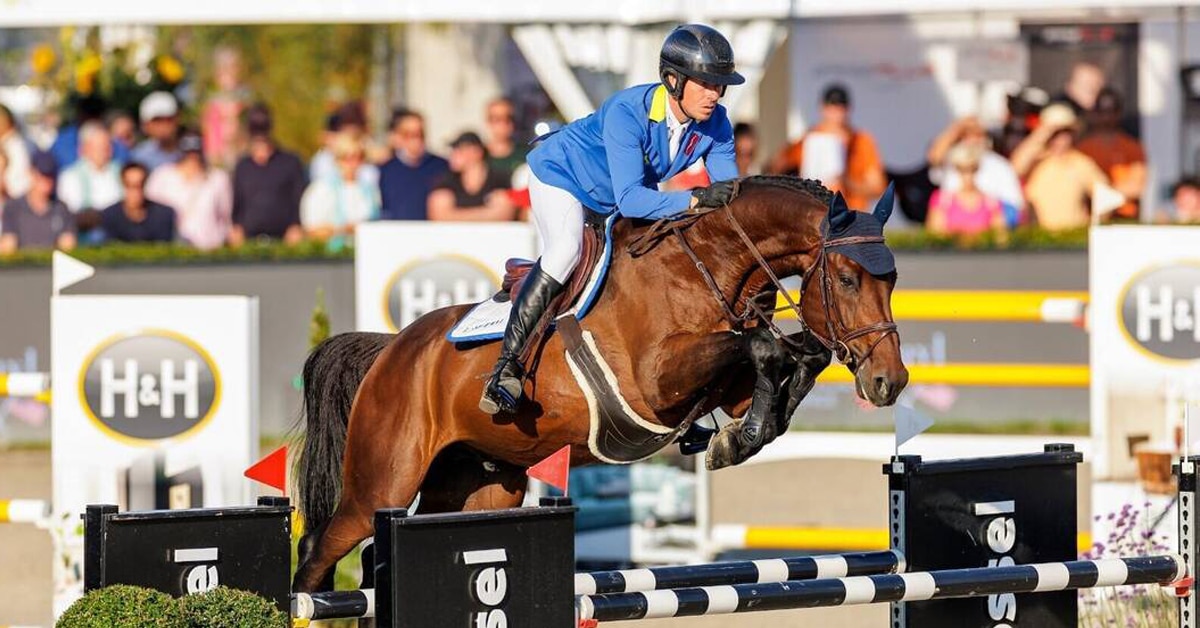 A man jumping a bay stallion over a fence at a show.
