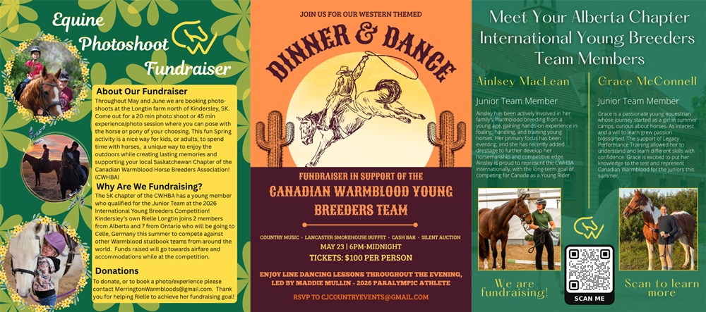 Three fundraising posters