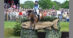 A woman on a bay horse jumping over a fish into the water on cross-country.