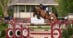 A man jumping a bay horse over a fence in New York.