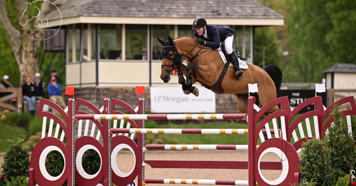 A man jumping a bay horse over a fence in New York.