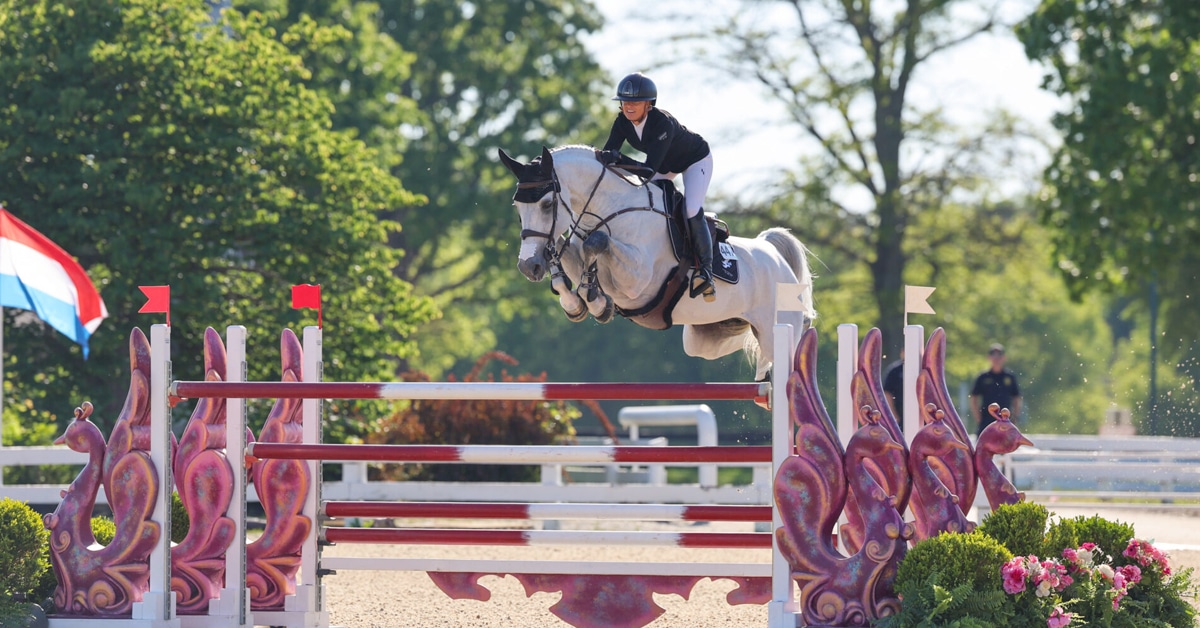 A woman jumping a grey horse over a fence in Kentucky.
