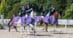 A winning team of four horses and riders during a victory gallop.