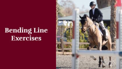 A woman riding a bay horse during a jumping class.