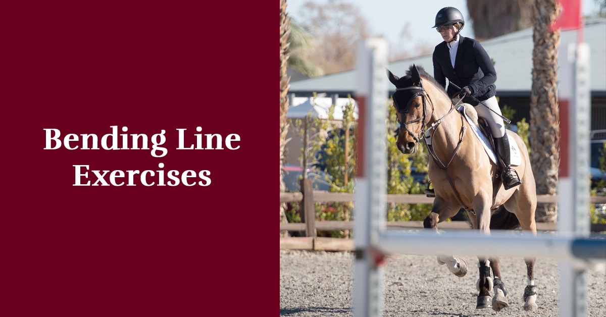 A woman riding a bay horse during a jumping class.