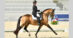 A woman on a dressage horse performing an extended trot.
