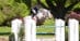 A man on a grey horse, jumping a fence in New York.