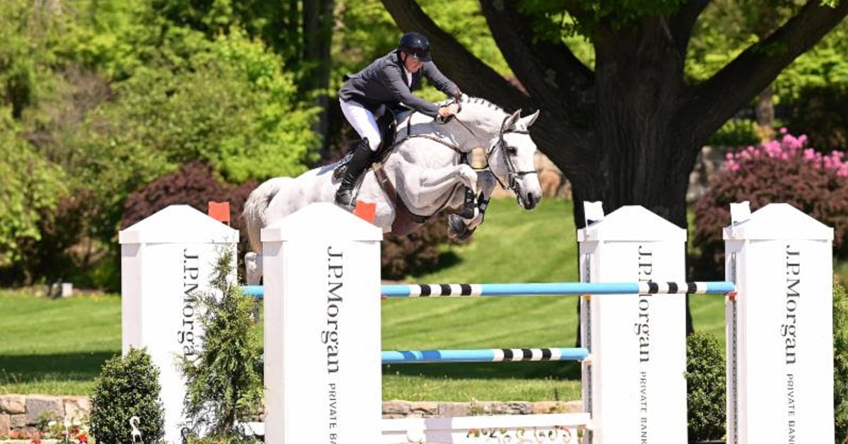 A man on a grey horse, jumping a fence in New York.