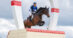 A man jumping a bay horse over a cross-country fence.