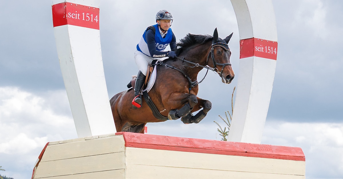 A man jumping a bay horse over a cross-country fence.