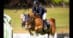 A man jumping a chestnut horse over a fence at tbird.