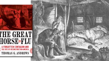 A book cover and an illustration.
