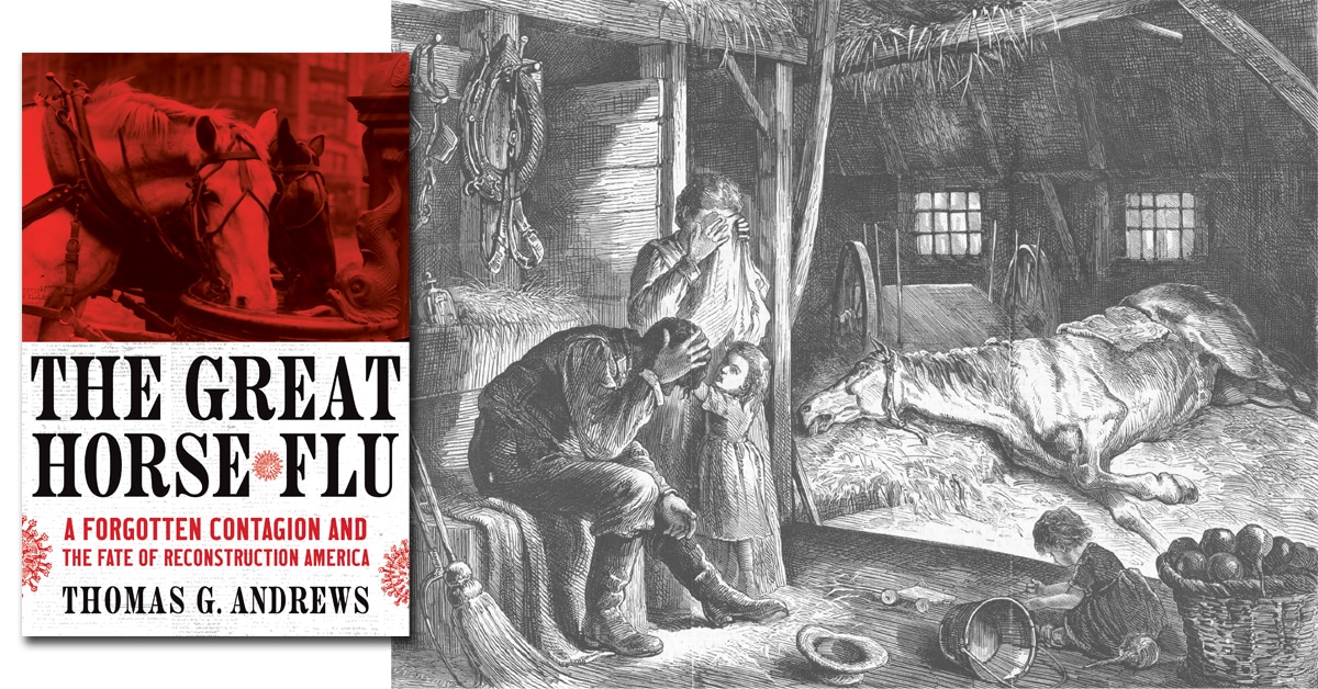 A book cover and an illustration.