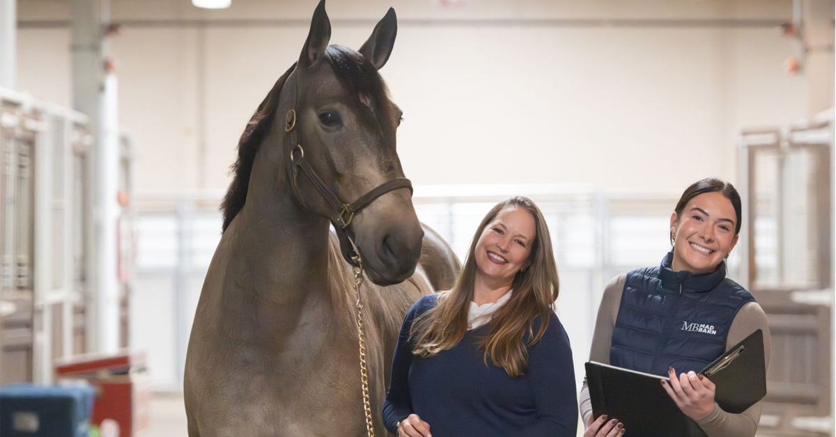 Two smiling woman standing in a barn aisle with a bay horse.