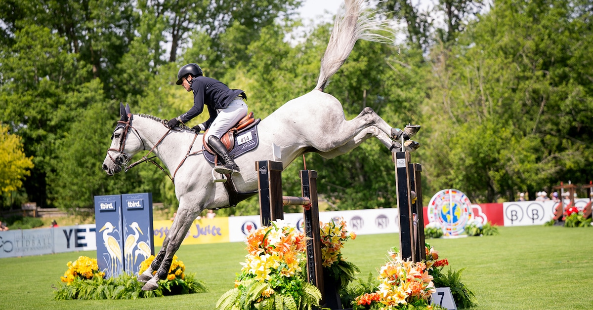 A man jumping a grey horse over a fence at tbird.