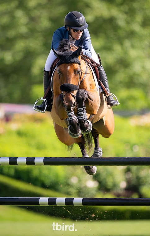 A woman jumping a bay horse over a fence at tbird.