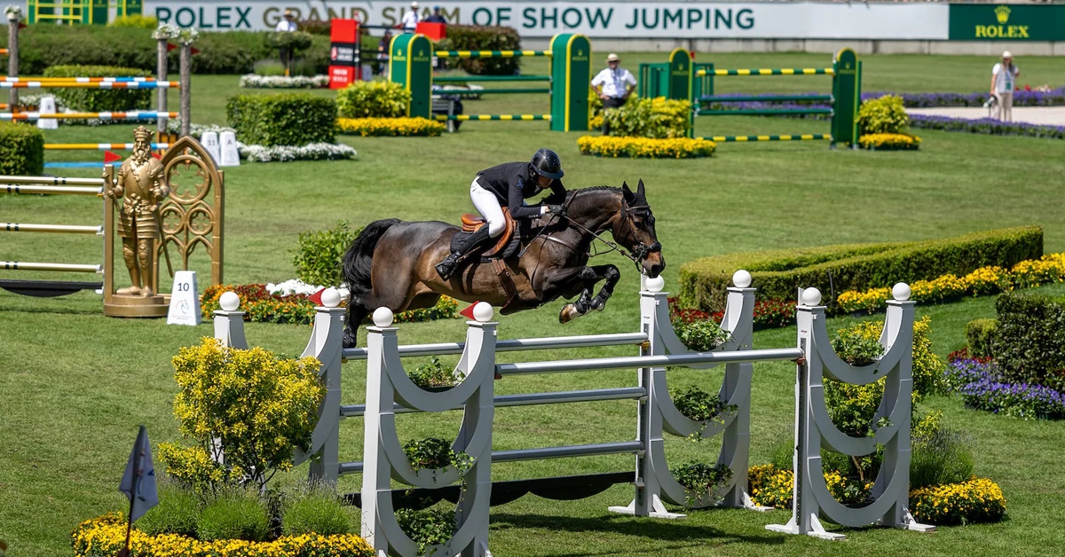 A man jumping a bay horse over a fence in Aachen.