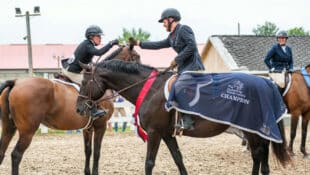 Two riders high-fiving at a smaller horse show.