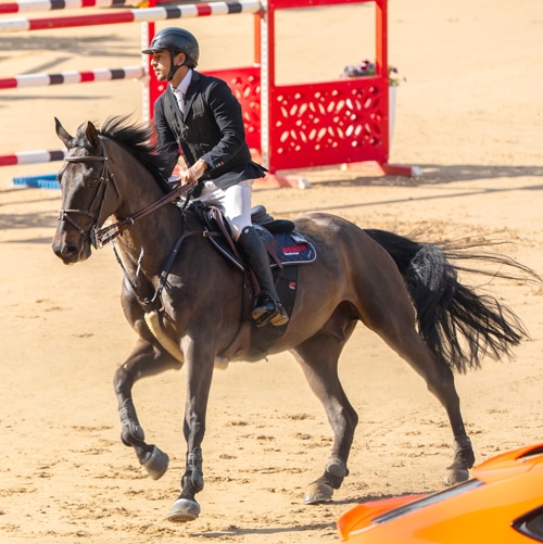 A man riding a bay horse in jumping competition in Doha.