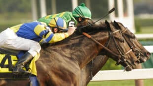 Two horses racing at a track.