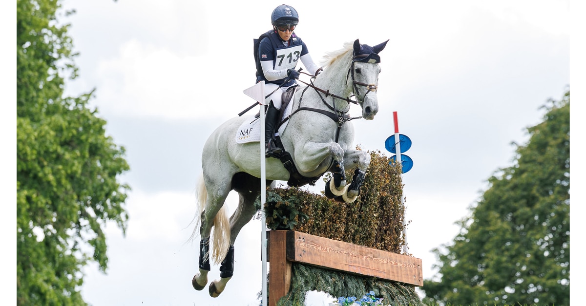 A woman jumping a grey horse over a cross-country fence.