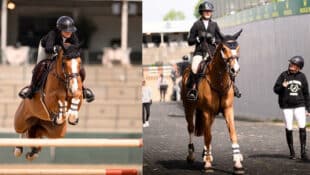 A woman on a chestnut horses, jumping and leaving the arena.