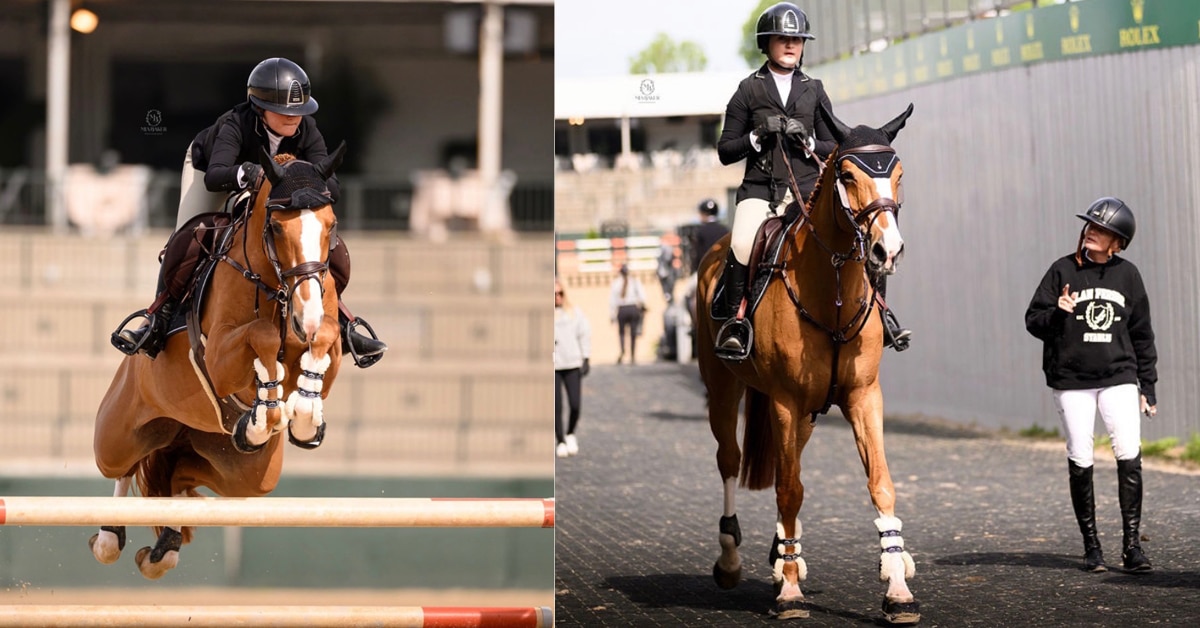 A woman on a chestnut horses, jumping and leaving the arena.