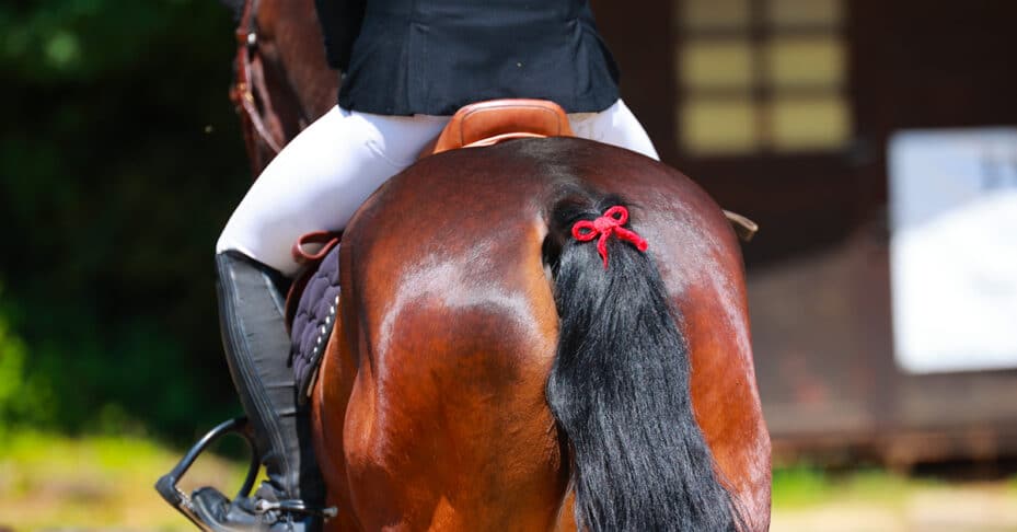 A bay horse with a red ribbon in its tail.