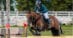 A man jumping a bay horse over a fence at Spruce Meadows.